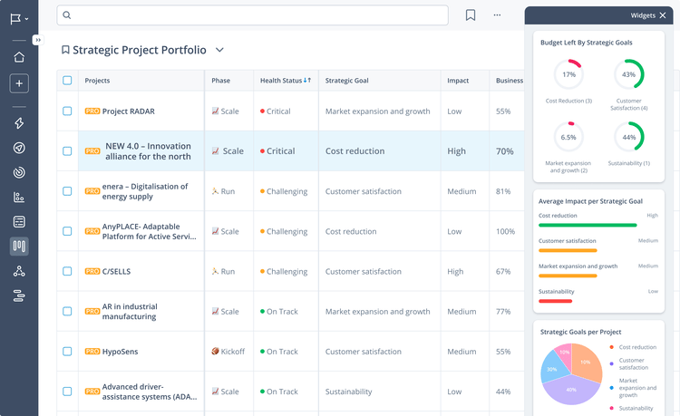 Strategic Project Portfolio